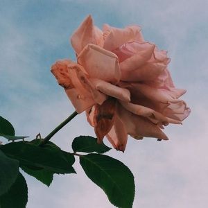 Meet your Posher, Zeida